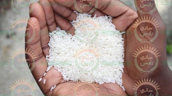 بازار صادرات برنج سفید طبیعت