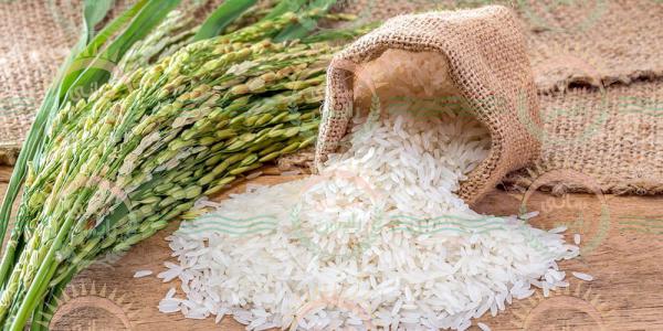 مشاوره فروش برنج هندی 10 کیلویی