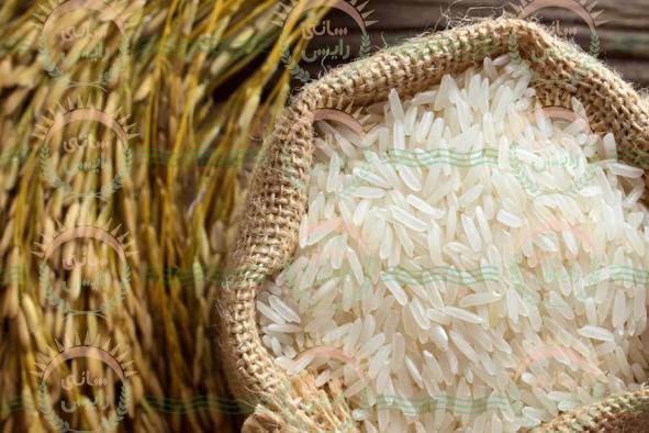 کارگاه تولیدی برنج عطری پاکستانی 