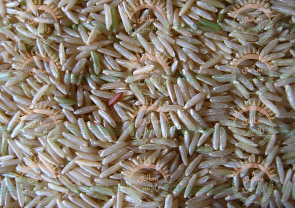 ضوابط توزیع برنج هندی سبوس دار