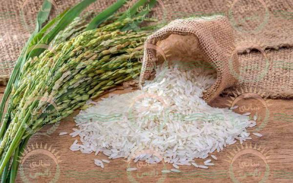 شرکت پخش برنج هندی 5 کیلویی
