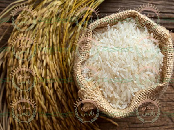 قیمت فروش برنج پاکستانی عمده