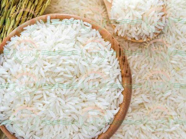 شرکت وارداتی برنج هندی عالی