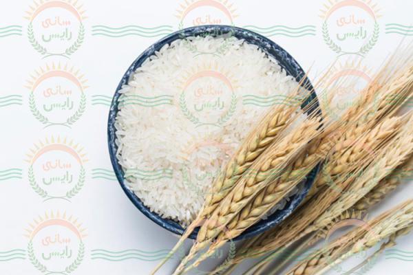 توزیع کننده برنج عنبربو اهواز