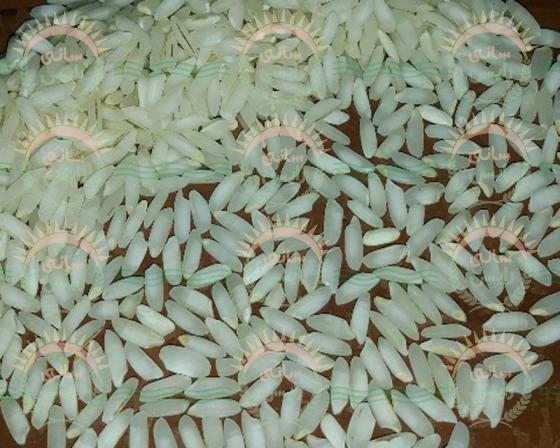استعلام قیمت برنج عنبربو ارزان