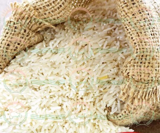 فروش فوری برنج پاکستانی ممتاز