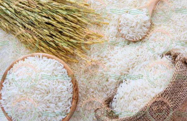 خرید عمده برنج پاکستانی معطر