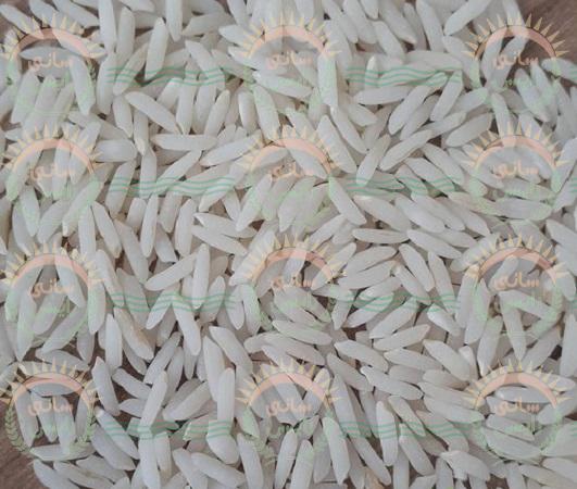 قیمت خرید برنج عنبربو شوشتر