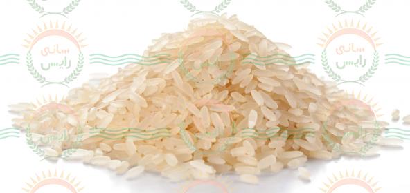 فروشنده بزرگ برنج طبیعت هندی
