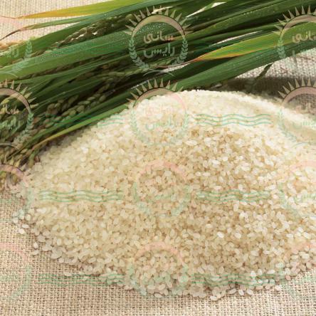 فیبر و مواد مغذی برنج عنبربو