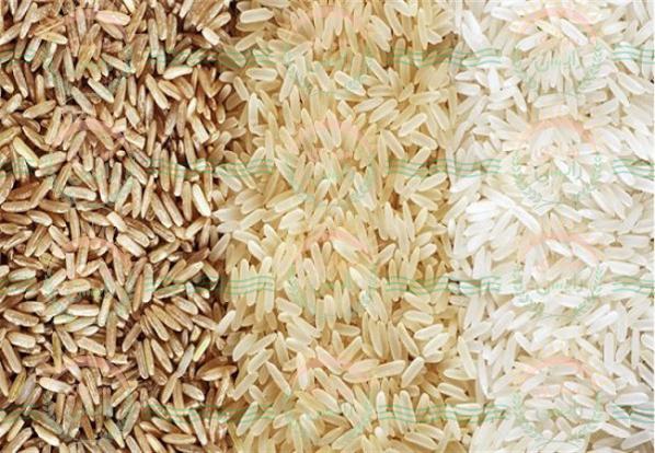 قیمت استثنایی برنج هندی بازرگان