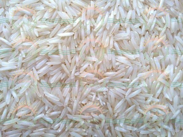 عمده فروشی برنج عنبربو دانه بلند