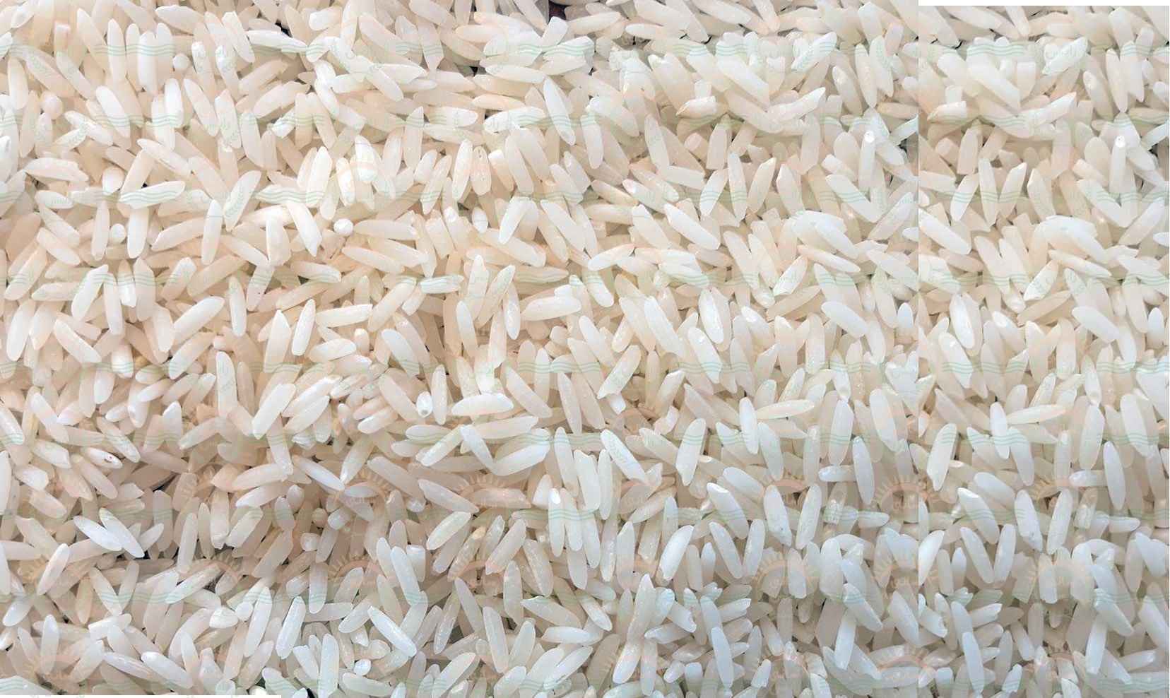 خرید اینترنتی برنج عنبربو ارزان قیمت
