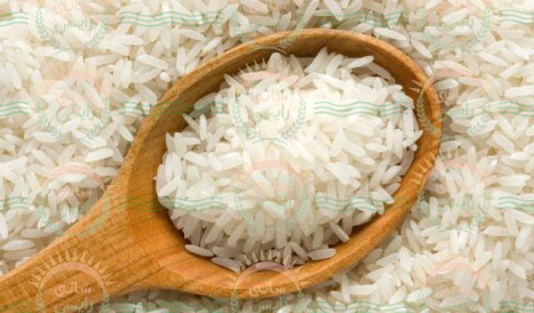 قیمت خرید برنج آوازه 10 کیلویی