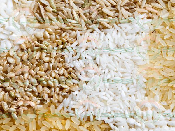 انواع برنج هندی و خواص آن