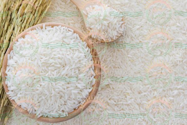 بازار خرید برنج چمپا 10 کیلویی