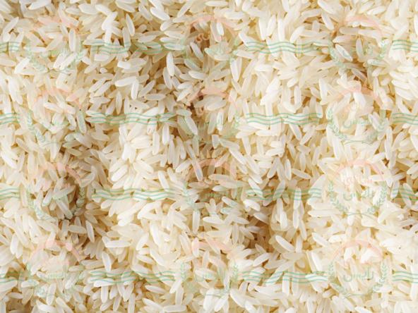 پخش کننده برنج خاطره عمده