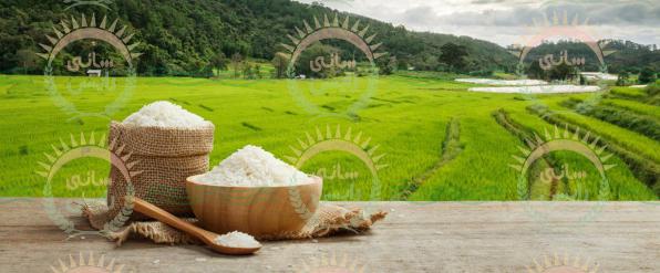 خرید عمده برنج هندی صنعتی