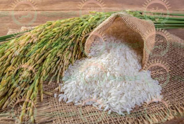 ویتامین های موجود در برنج چمپا