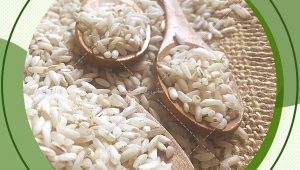 جدیدترین قیمت برنج عنبربو خوزستان در بازار عرضه عمده