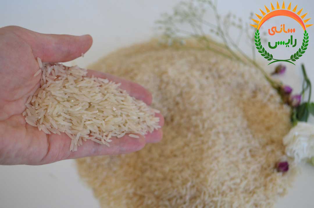نمایندگی پخش برنج هندی در ایران