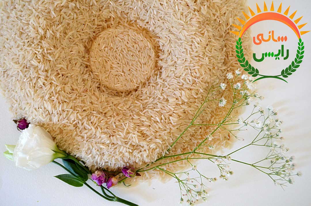 فروش عمده برنج هندی طبیعت