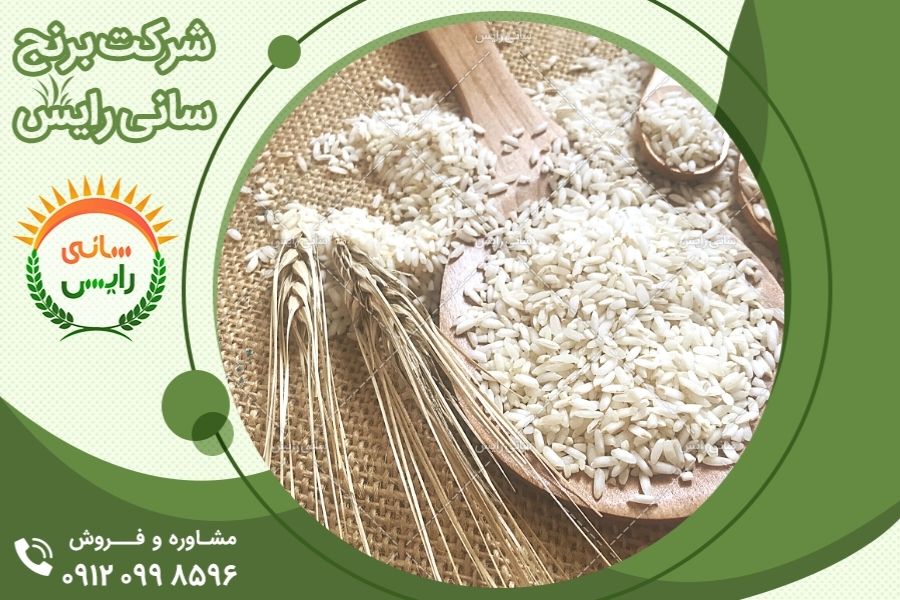 از جدیدترین قیمت برنج عنبربو  در بازار باخبر شوید