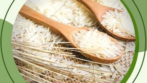 خرید مستقیم از نمایندگی پخش برنج هندی