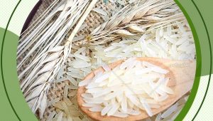 بهترین قیمت فروش برنج هندی در فروشگاه های ایران یافت می شود. برنج هندی به خاطر کیفیت و قیمت مناسبی که دارد توانسته است بین بقیه برنج ها محبوبیت خود را چه در داخل کشور چه در قسمت بین المللی حفظ کند.