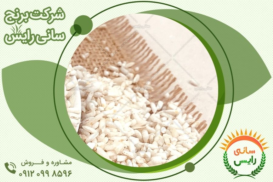 خرید و فروش مستقیم برنج عنبربو سارا