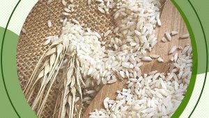 خرید و فروش عمده از نمایندگی پخش برنج عنبربو