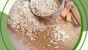 خرید و فروش مستقیم برنج عنبربو کوثر