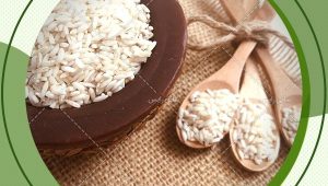 اطلاع از جدیدترین برنج عنبربو شالیزار
