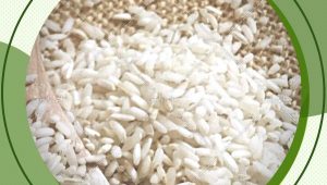 خرید و فروش مستقیم برنج عنبربو  با قیمت عالی
