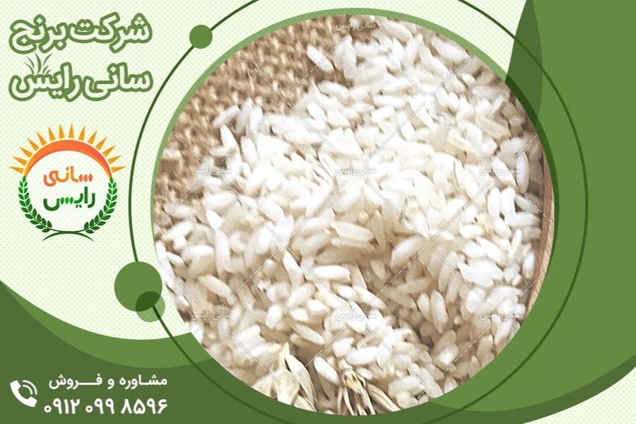 قیمت خرید برنج عنبربو