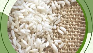 فروش برنج عنبربو ریحانه با قیمت مناسب