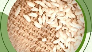 فروش اینترنتی برنج عنبربو فوق ممتاز