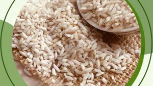 اصلی ترین قیمت برنج چمپا شیراز
