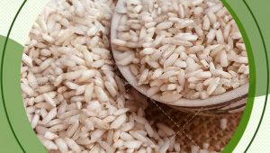 خرید از نمایندگی برنج عنبربو در همدان