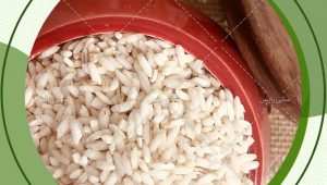 بهترین قیمت برنج عنبربو حسنی در بازار