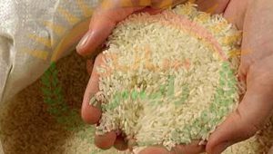 خرید برنج عنبر بو در ایلام