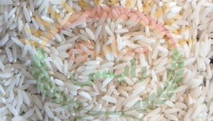 خرید برنج عنبر بفروش برنج عنبربو در تهرانو در کرج