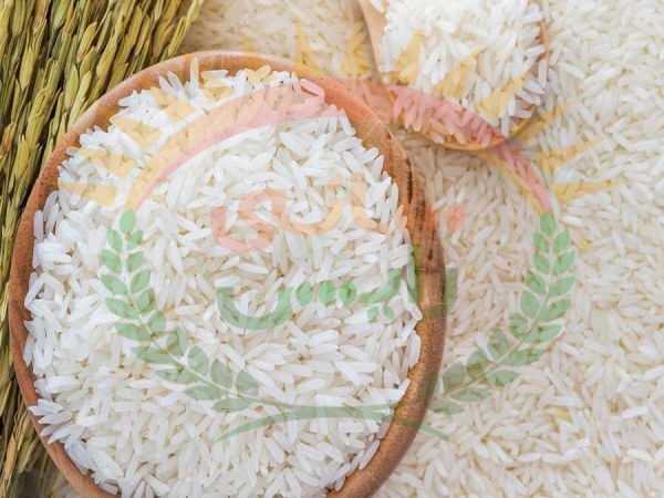 خرید برنج عنبر بو دیجی کالا