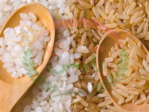 فروش برنج عنبر بو در مشهد