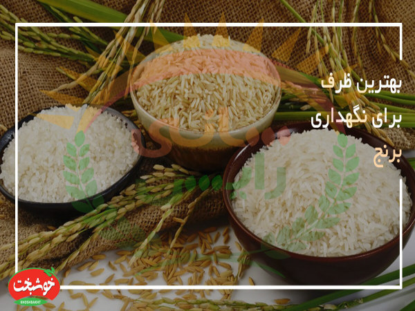 خرید برنج ایرانی عنبربو