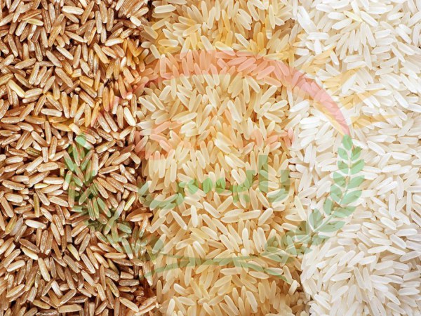 فروش برنج باسماتی