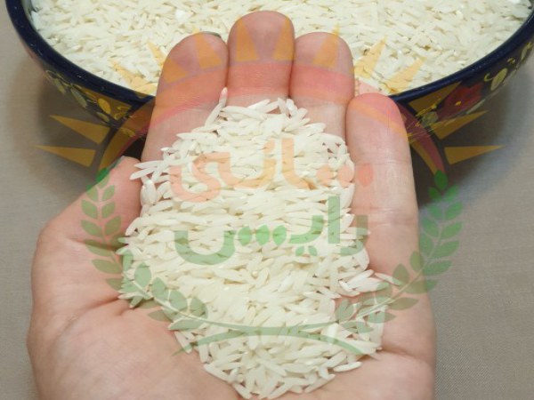 خرید برنج عنبربو خوزستان