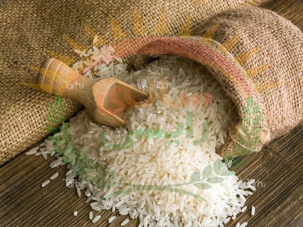 فروش عمده برنج عنبربو خوزستان عمده و صادرات