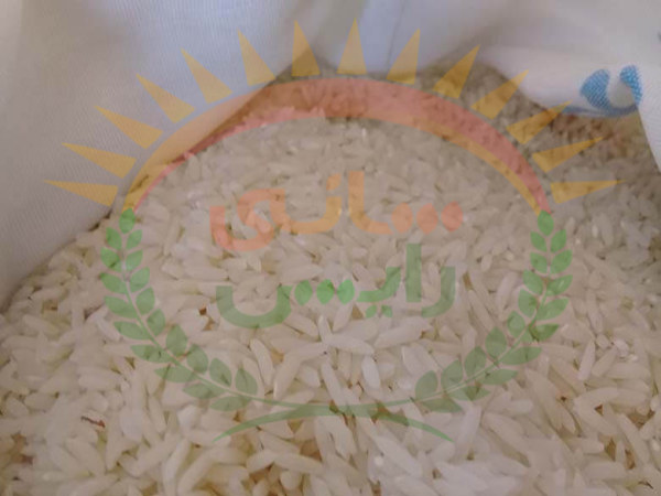 فروش عمده برنج عنبربو در اصفهان
