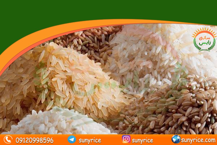 خرید برنج هندی به صورت عمده
